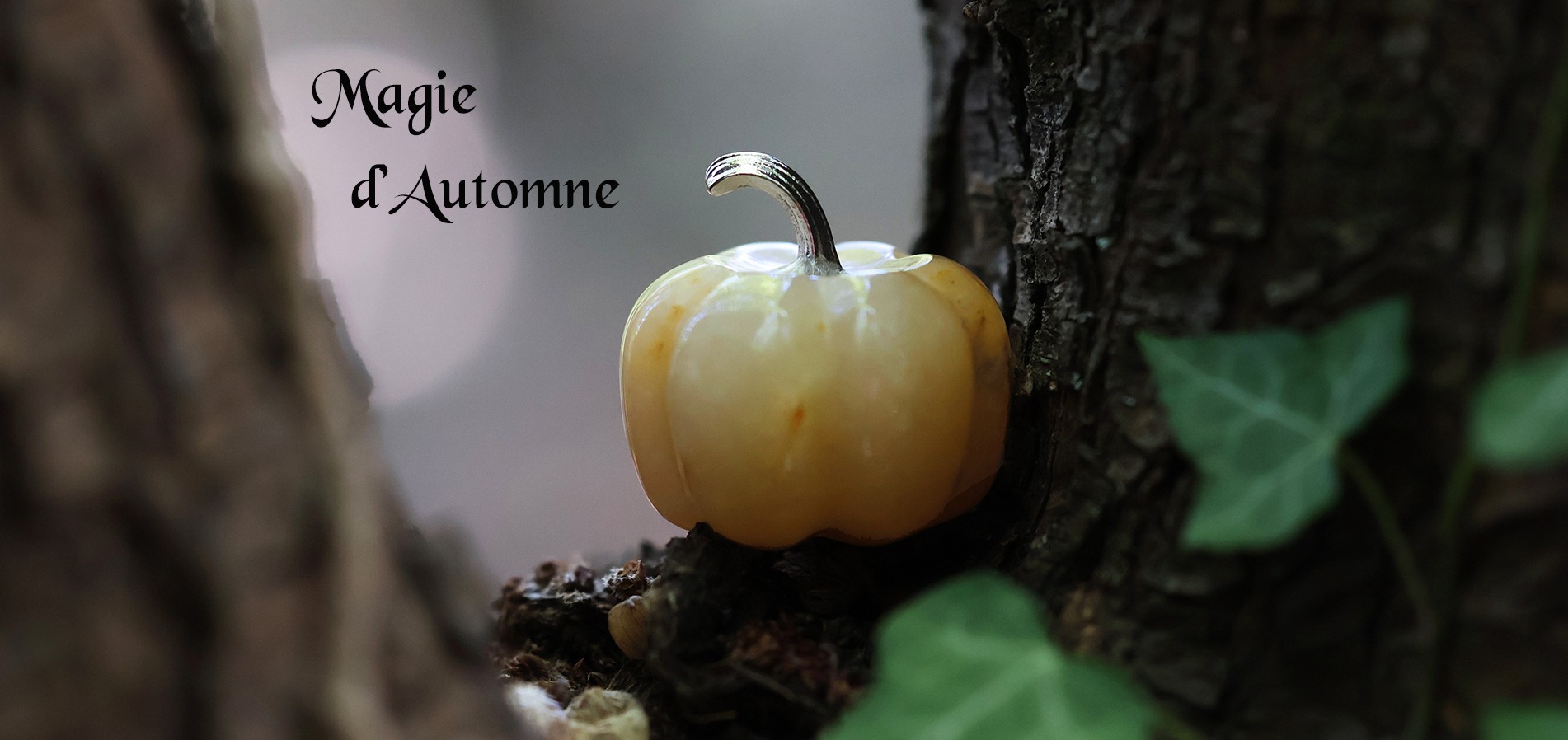 Citrouille en pierre Automne